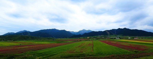 南山 摄影 宁添添