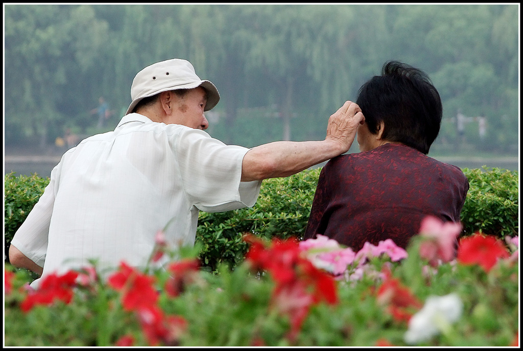 黄昏之恋，柔情更浓。 摄影 zhanghq1958