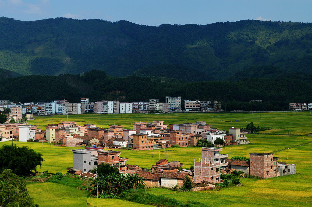 田园 摄影 竹海大观