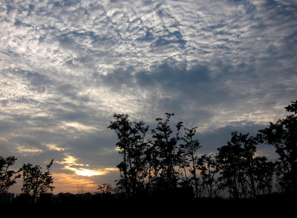 夕阳 云朵 晚霞1 摄影 闲心雅兴