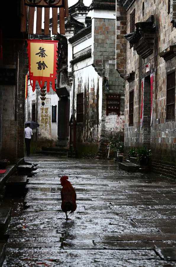 编外城管 摄影 山野行者