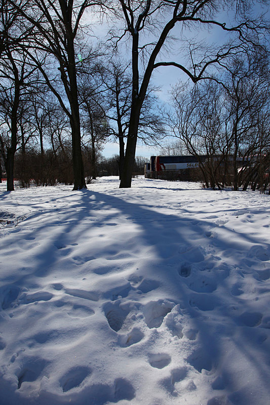 俄罗斯之行系列(70)   夏宫花园雪景 摄影 边疆