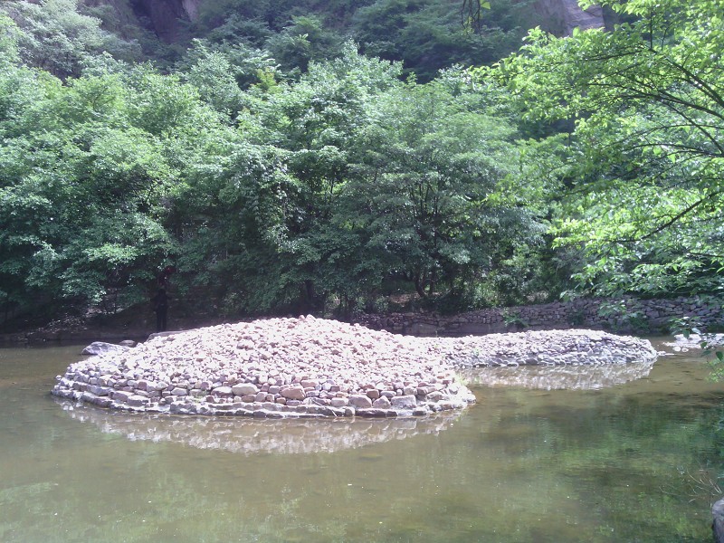 小岛 摄影 荷塘听雨声