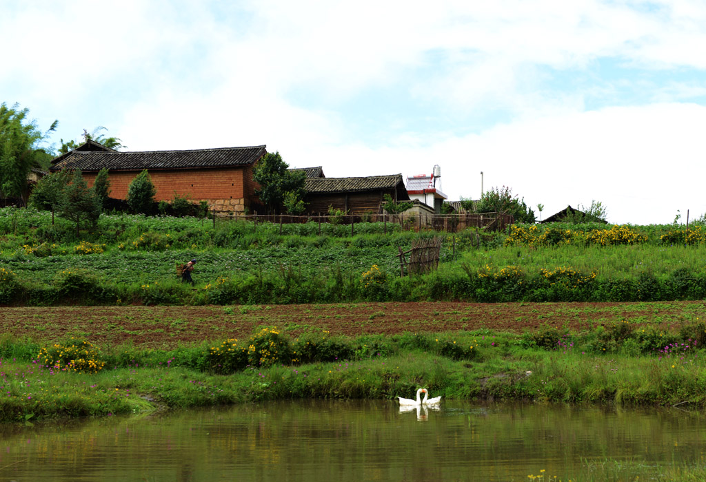 乡村小景 摄影 丽强