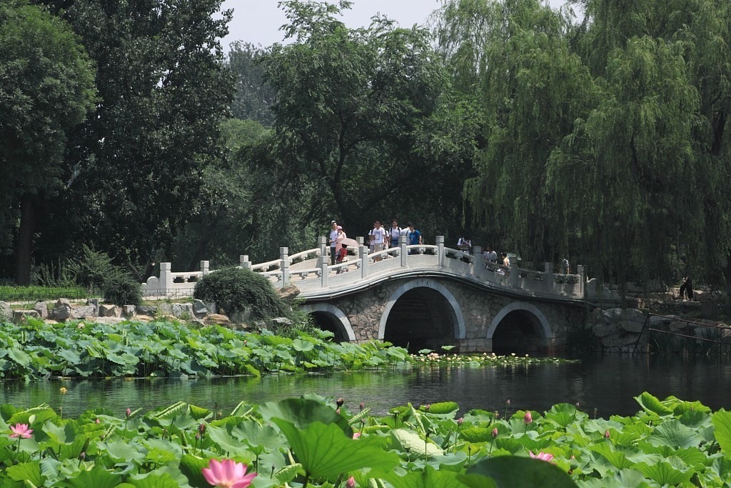 圆明园一景 摄影 老倔头