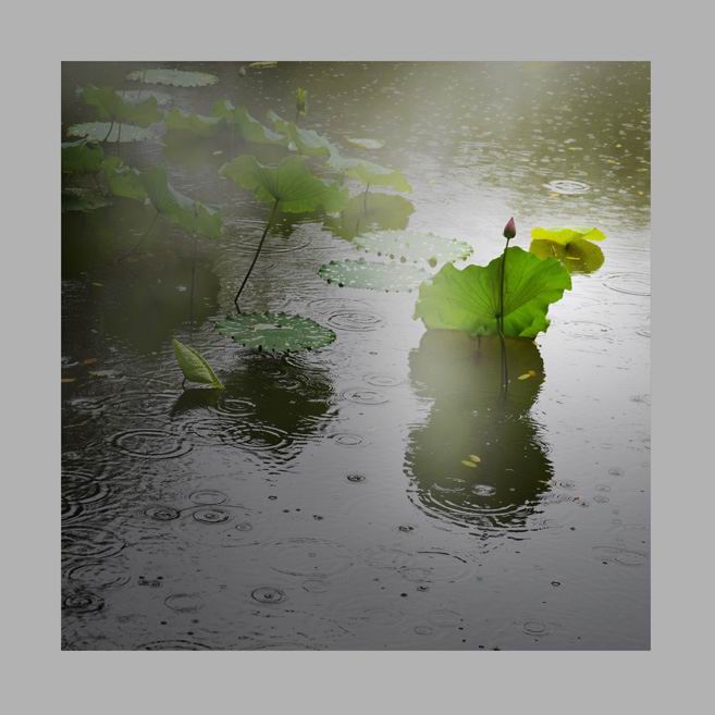 听雨 摄影 冷沙洲