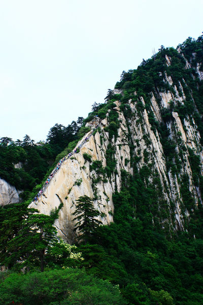 华山险峰 摄影 双耳刀