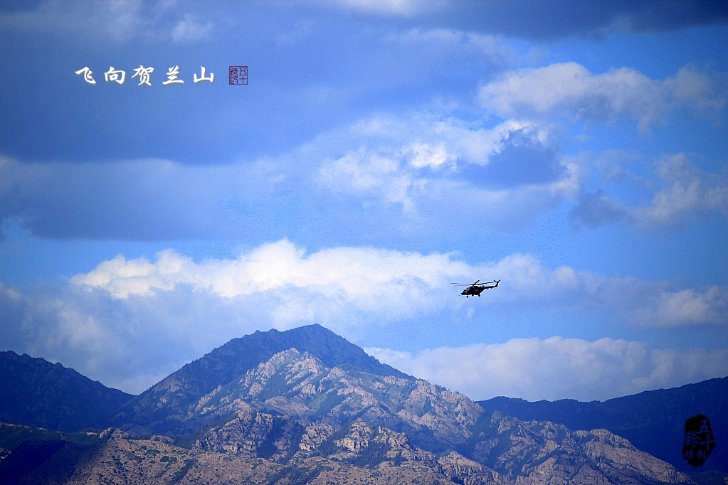 飞向贺兰山 摄影 五十铃