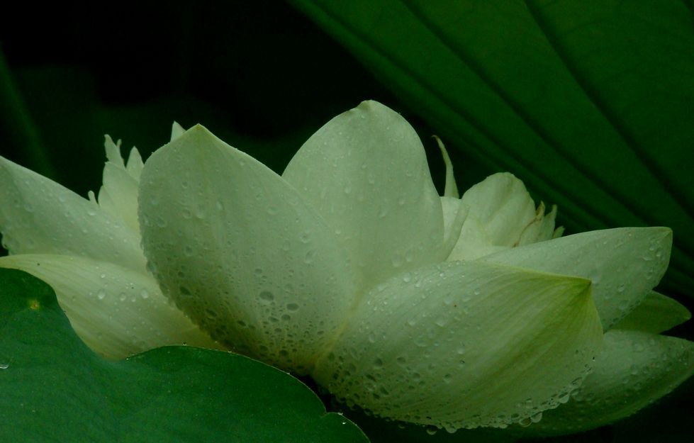 憩 摄影 烟雨晓梦寒