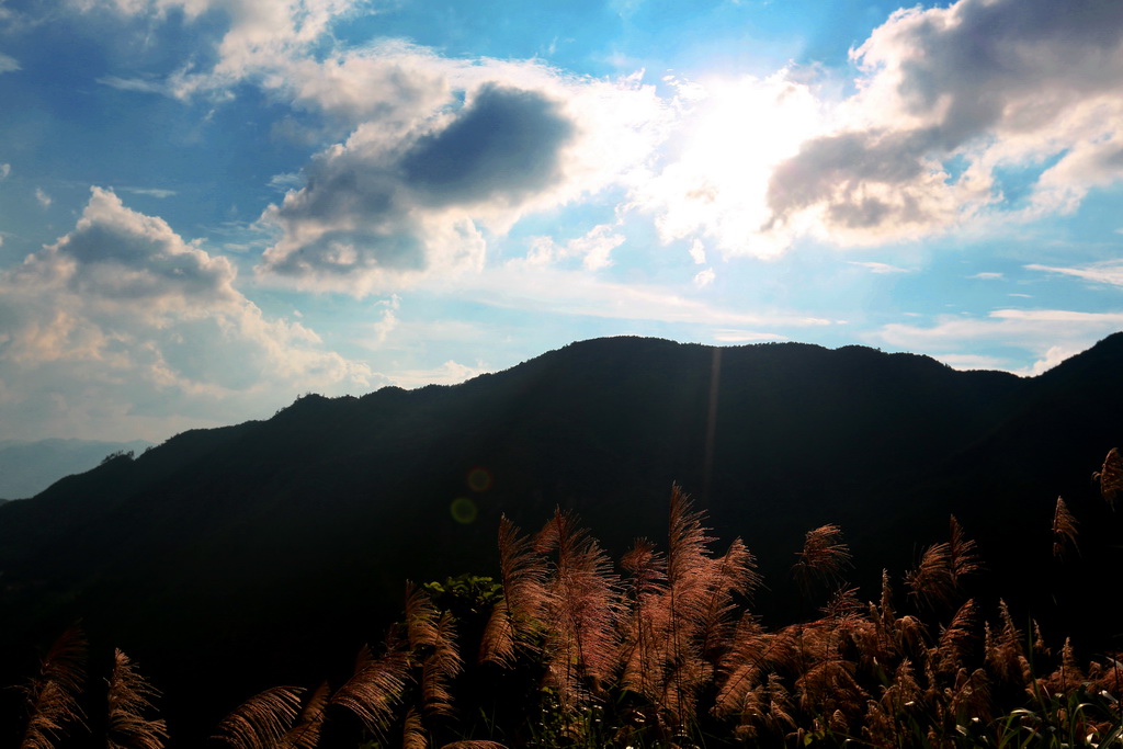 随拍（5）— 点击放大 摄影 夜静春山空