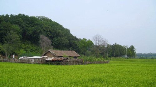 田园 摄影 秋鹤与飞