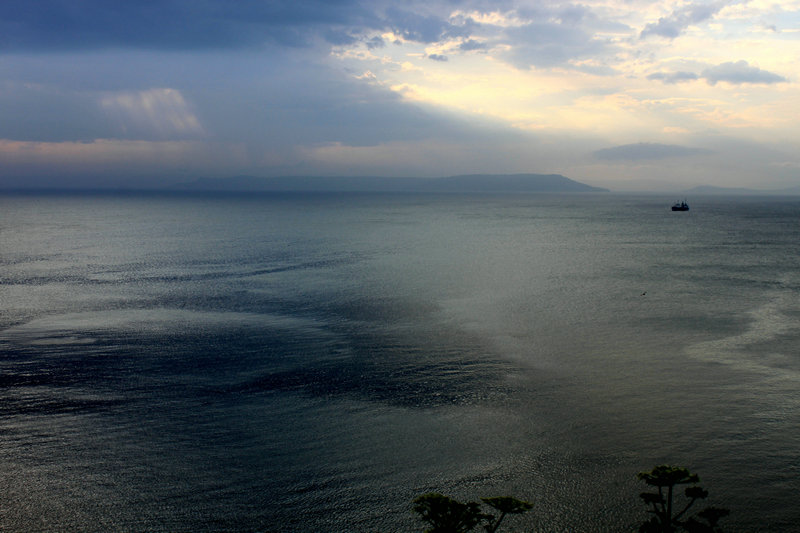 海韵 摄影 小鸡小鸭