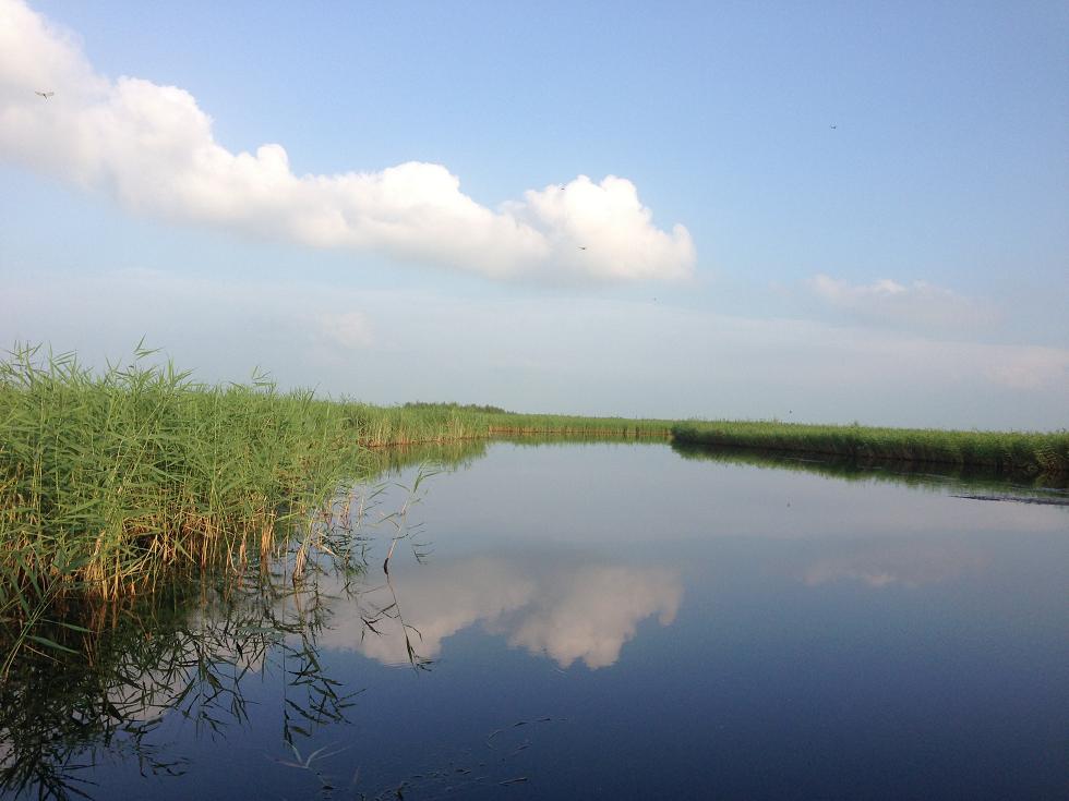 扎龙湿地美 摄影 水晶之情