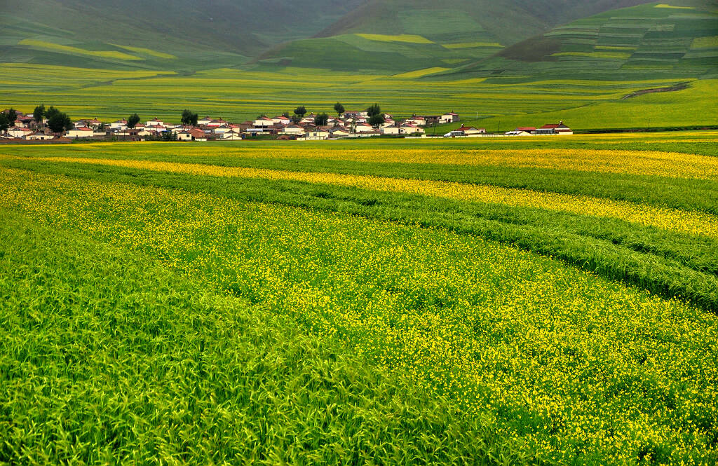 田园风光 摄影 yangguanga