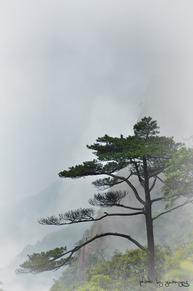 烟雨三清山 11 摄影 狂来舞剑