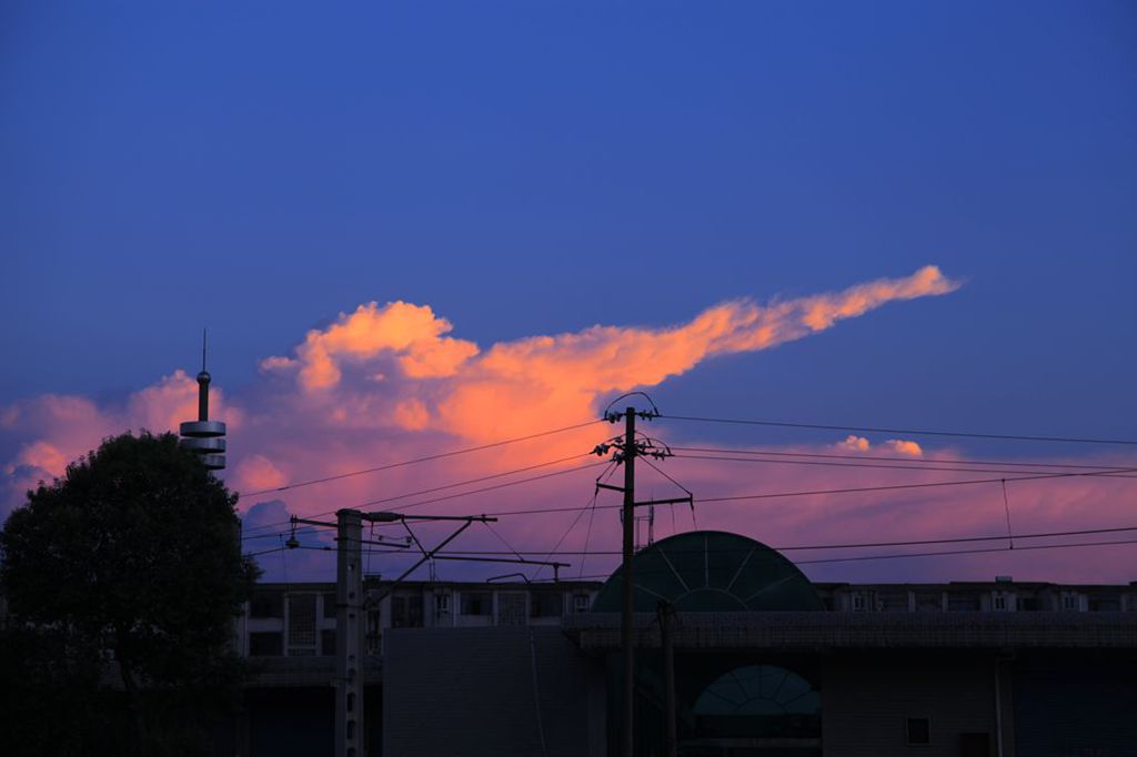 坦克炮 摄影 夕阳吻柳