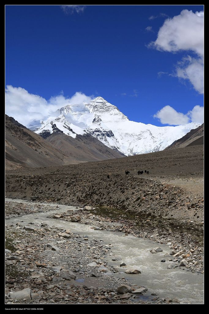 最高的风景 摄影 摄生取艺