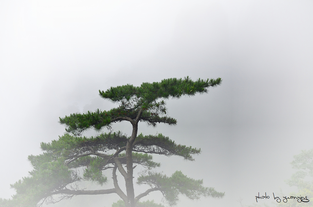 烟雨三清山 13 摄影 狂来舞剑