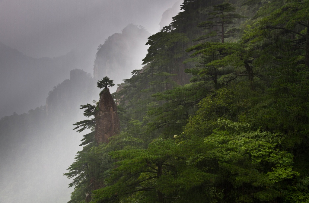 雨中黄山 摄影 云之山峰