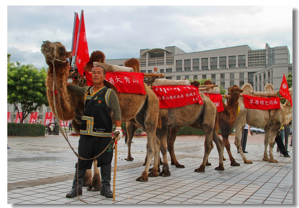 重走茶叶之路1 摄影 玉洁冰清