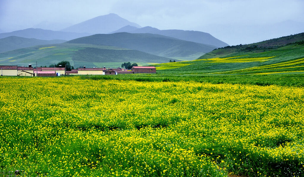 田园风光 摄影 yangguanga