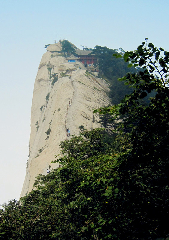 西峰 摄影 秋鹤与飞