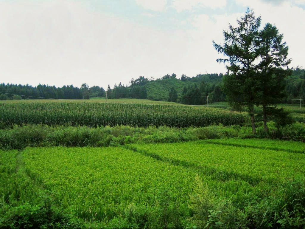 山村景色 摄影 深水无澜