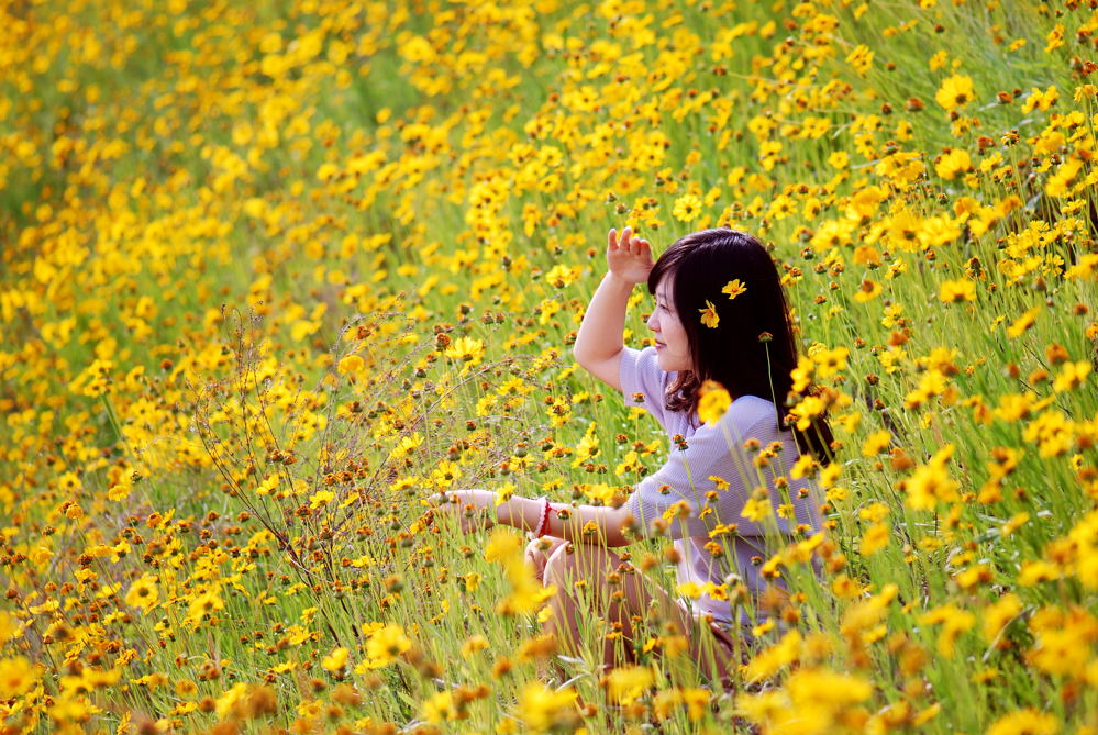 望花 摄影 luzhouzjy