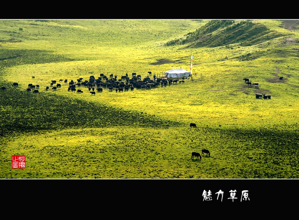 魅力草原：草原深处 摄影 一路有你