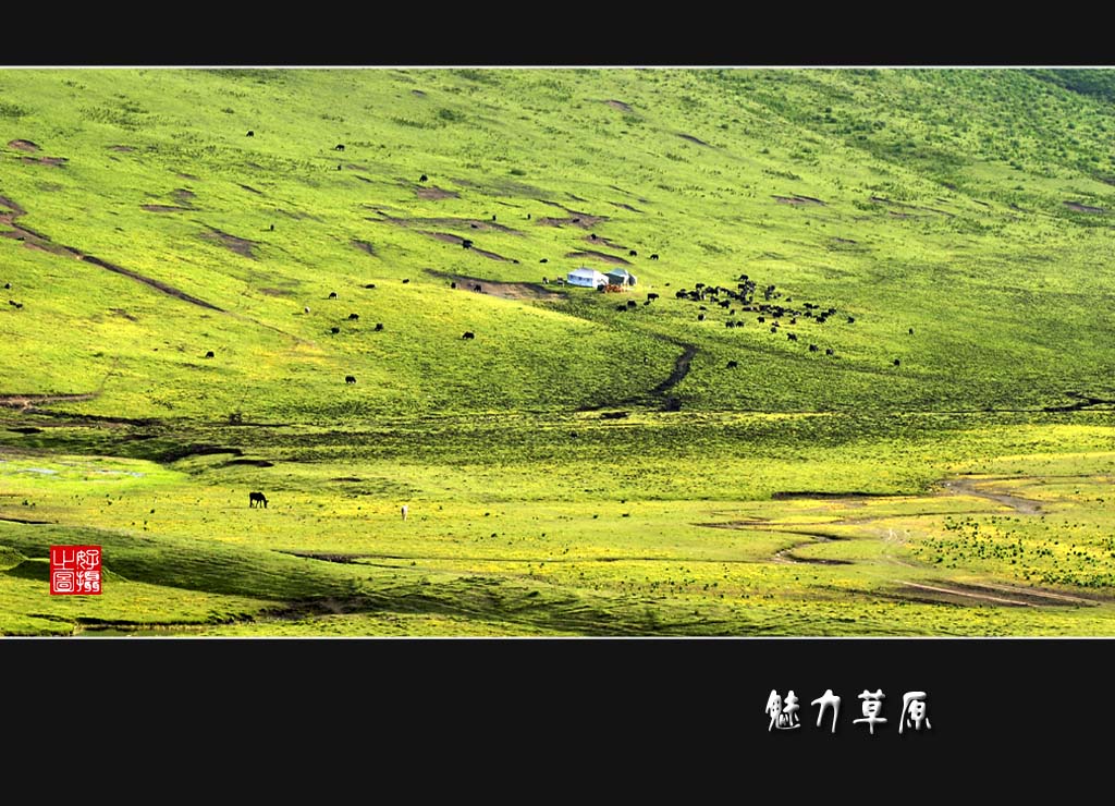 魅力草原：游牧 摄影 一路有你