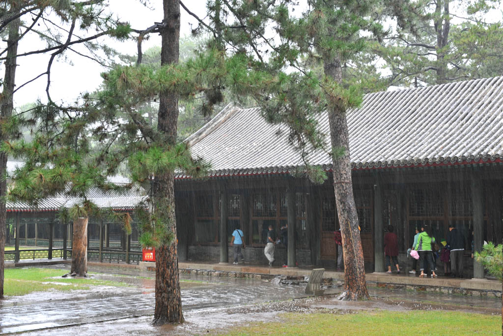 秋雨 摄影 好兆头