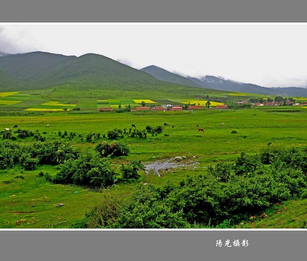 草原风光 摄影 yangguanga