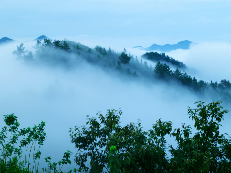 画 摄影 hufusheng