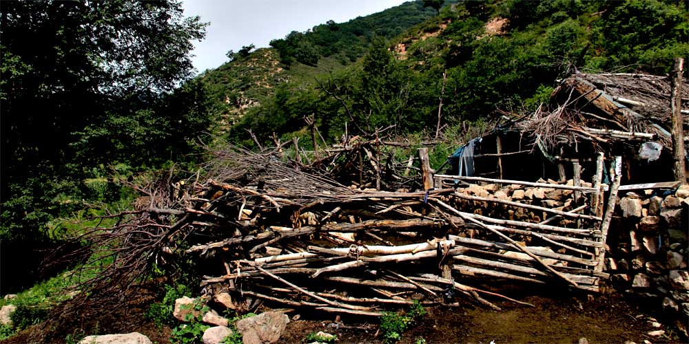 山村农家院 摄影 牛牪犇