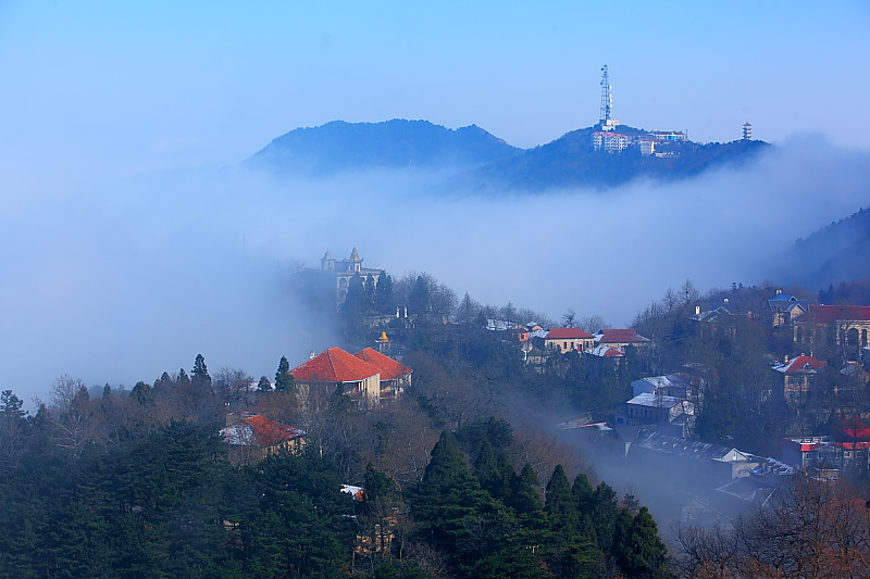 浓雾弥漫鸡公山 摄影 淮水一沫