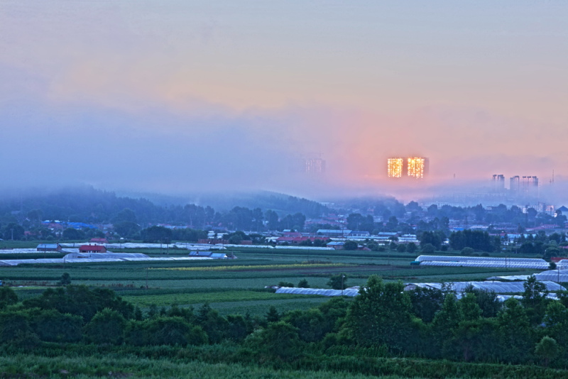 金光城市 摄影 甲由田