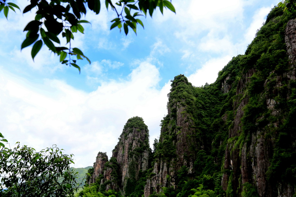 随拍（29）— 点击放大 摄影 夜静春山空