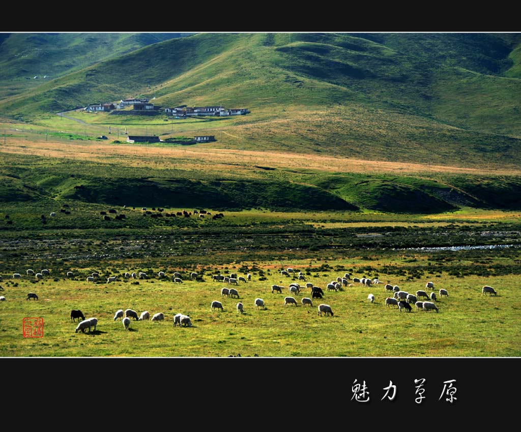 魅力草原：牧区人家 摄影 一路有你