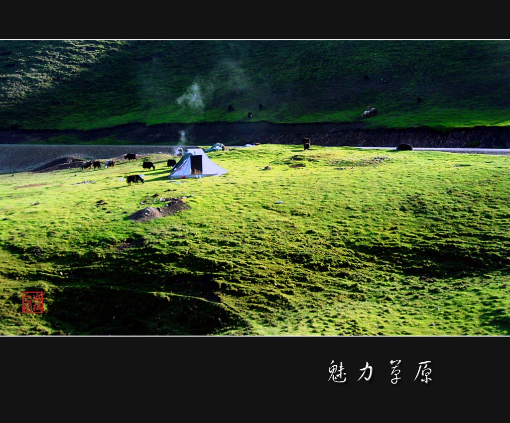 魅力草原：生机 摄影 一路有你