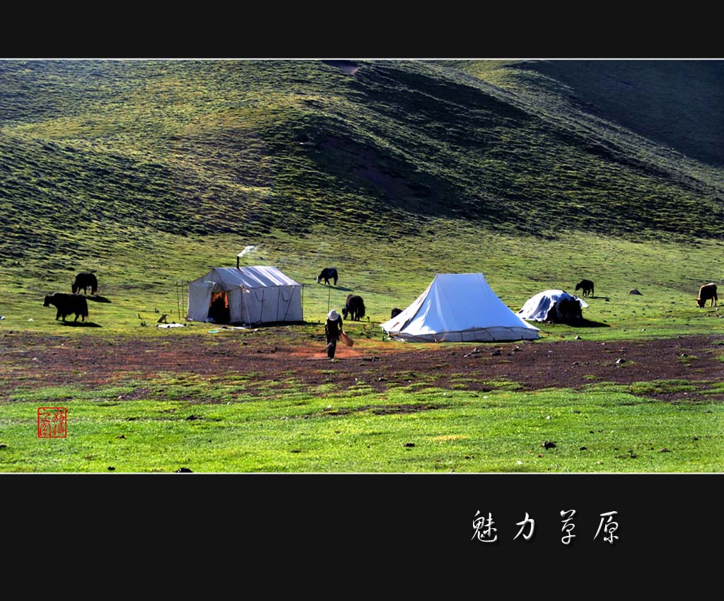 魅力草原：草原之家 摄影 一路有你