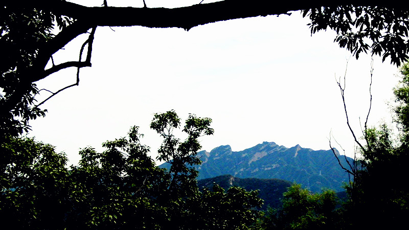 山 摄影 秋鹤与飞