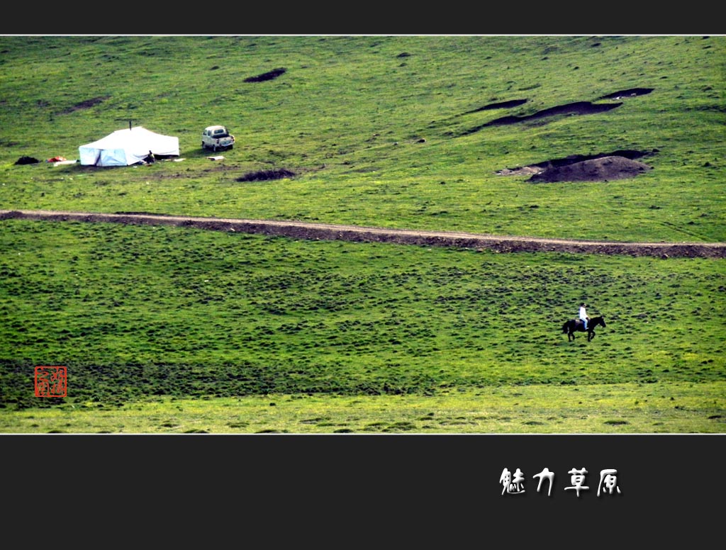 魅力草原 摄影 一路有你