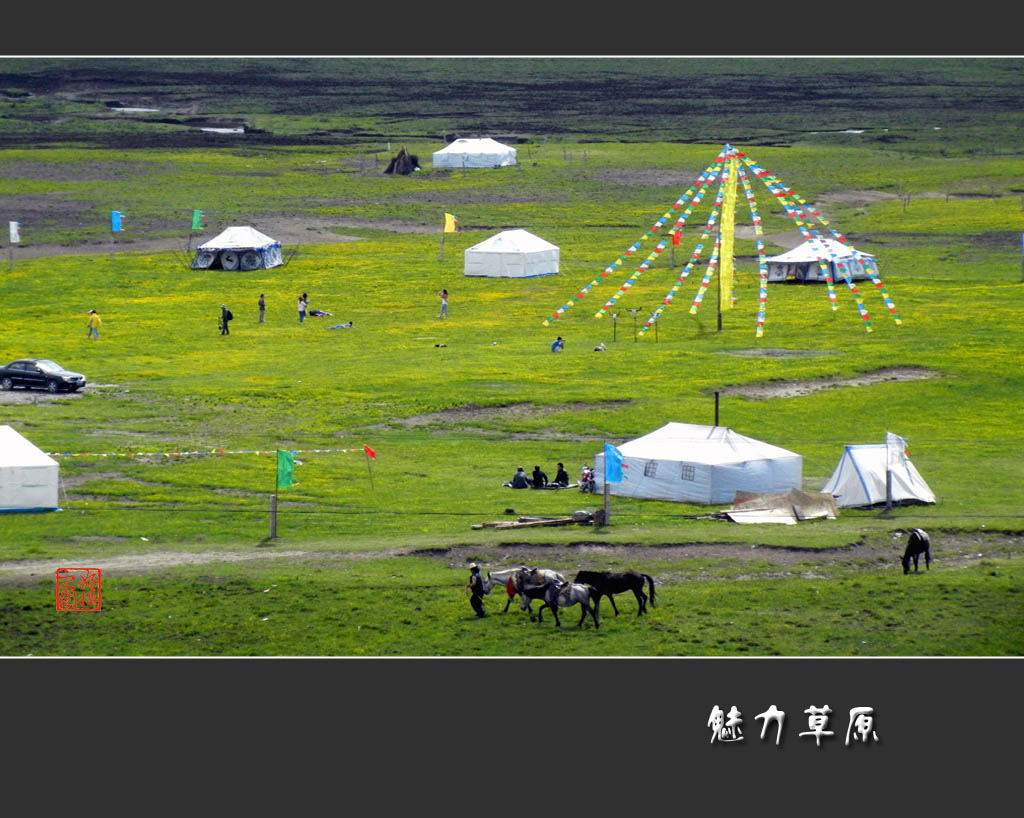 魅力草原 摄影 一路有你