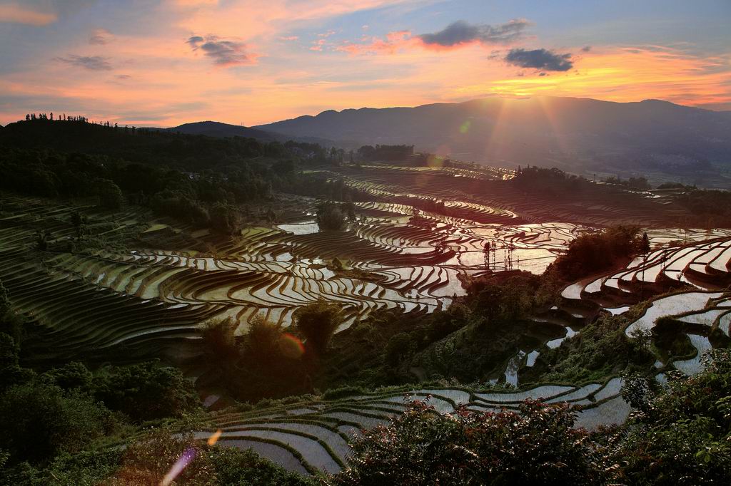 梯田夕照 摄影 蕊宝贝