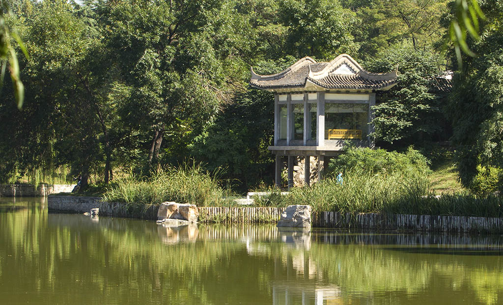 公园小景 摄影 箭飞