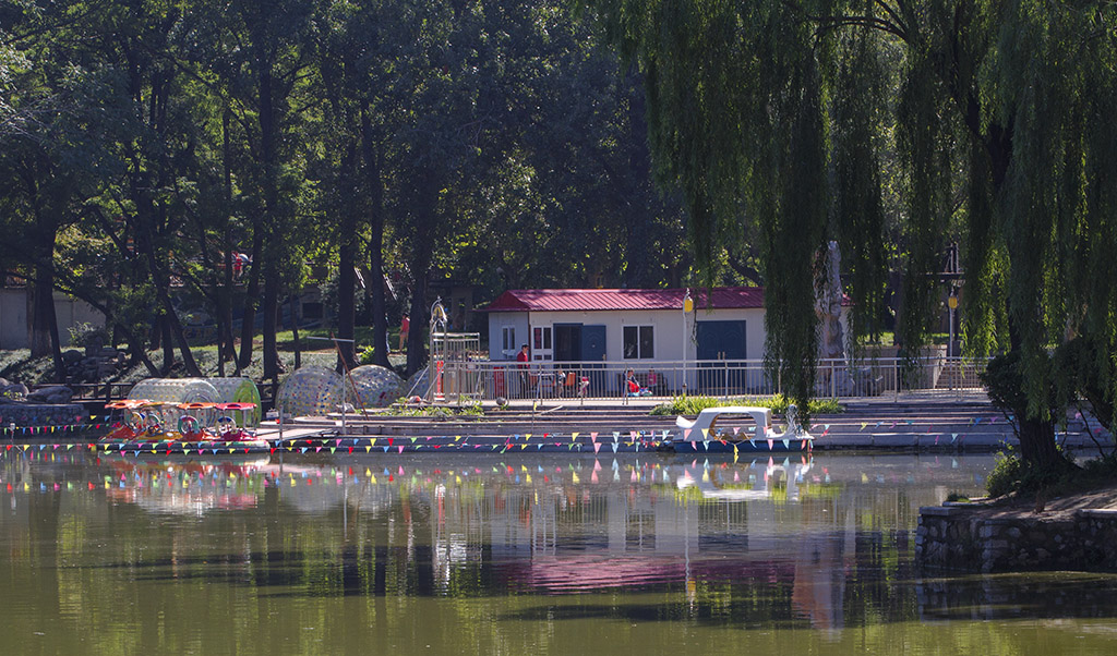 公园小景 摄影 箭飞