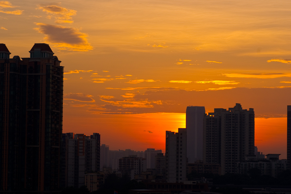 广州早晨 摄影 我爱仙人掌