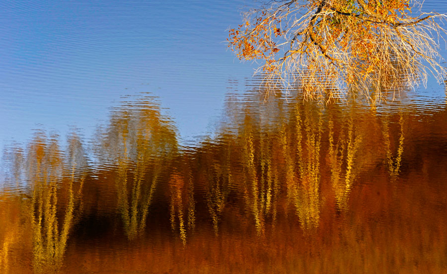 秋的色彩 摄影 义和团