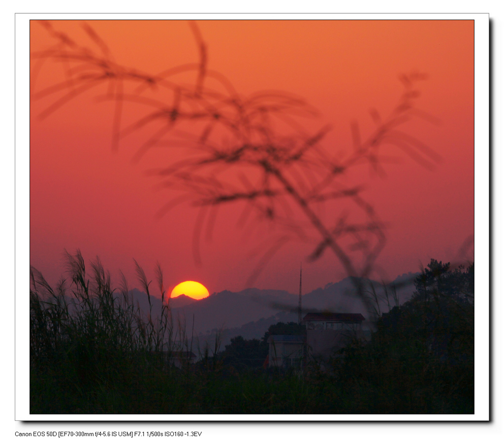 夕阳无限好 摄影 香瓜虫