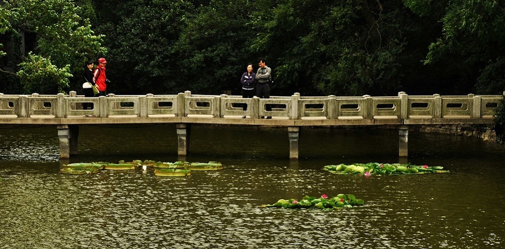 小小无锡景 摄影 ax9758